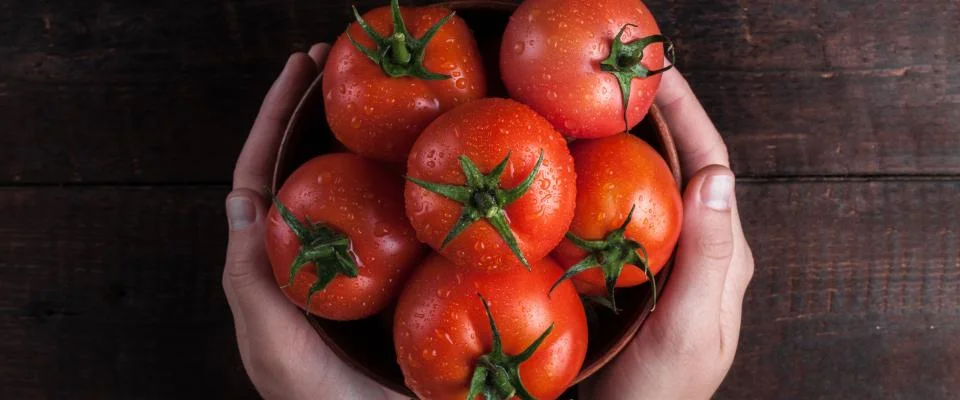 Article Tomato Hands