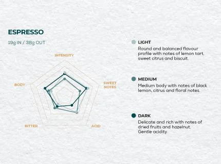 roastelier standard landing page spiders ethiopia