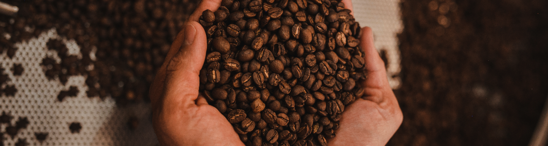 Brewing an elevated coffee experience, together​