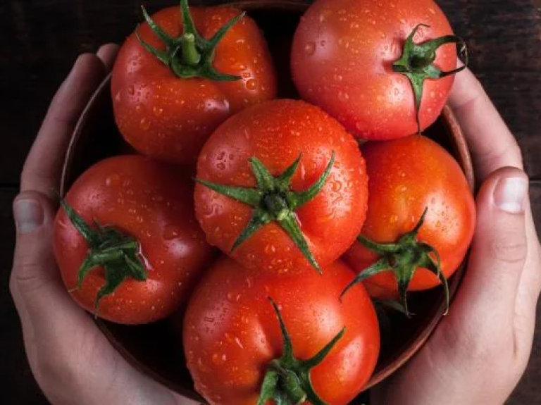 Article Tomato Hands