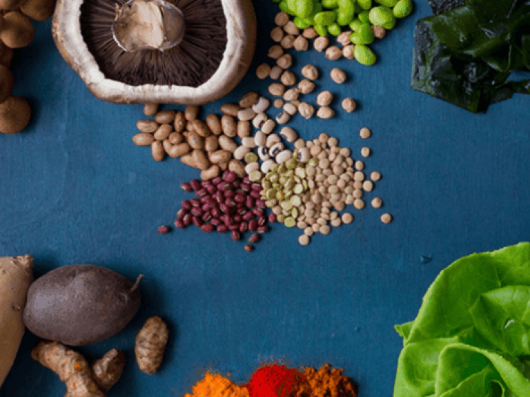 Plant-based Nutrition
