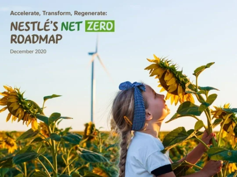 Nestle Zero Roadmap Report