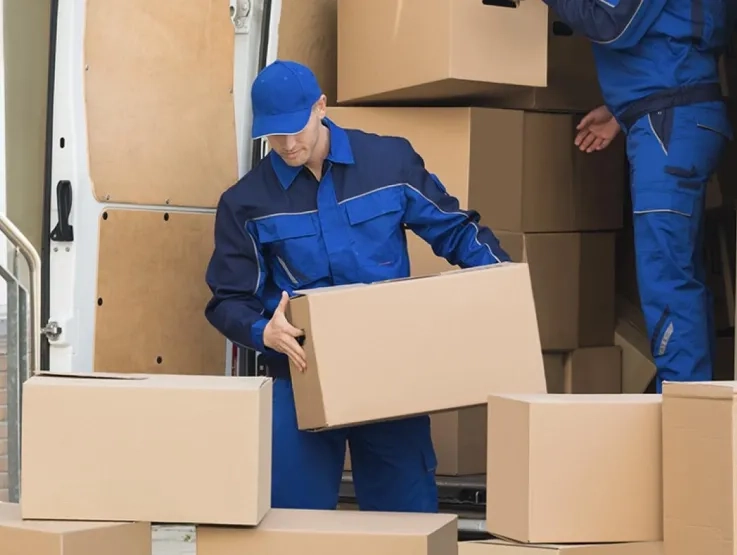 Distributors